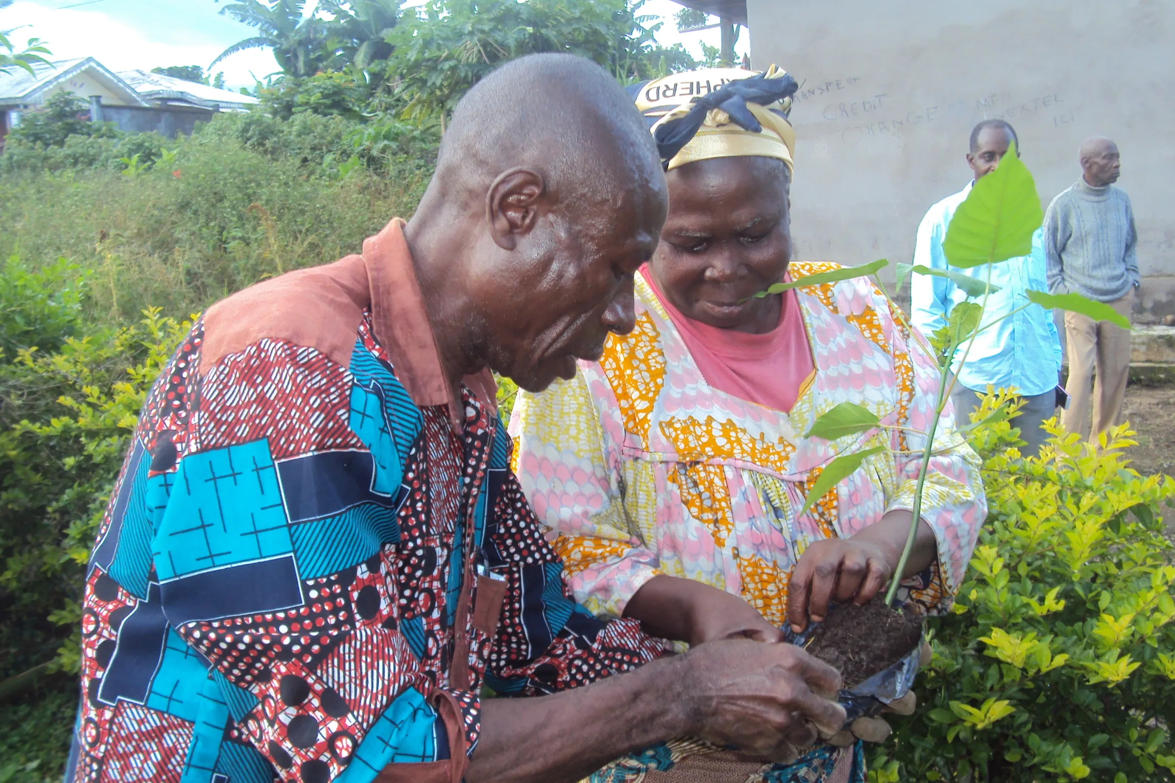 Mount Cameroon Inga Project